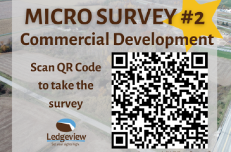 Micro Survey #2