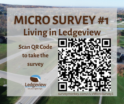 Micro Survey #1