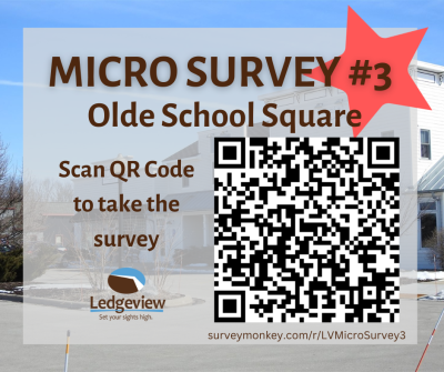 Micro-Survey #3