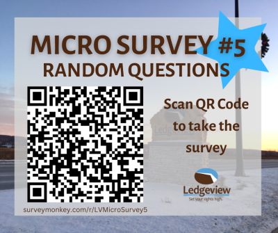 Micro-survey 5