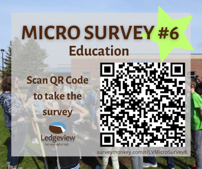 Micro-Survey #6