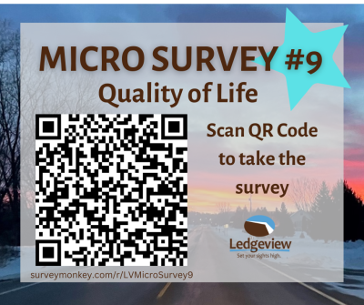 Micro survey #9