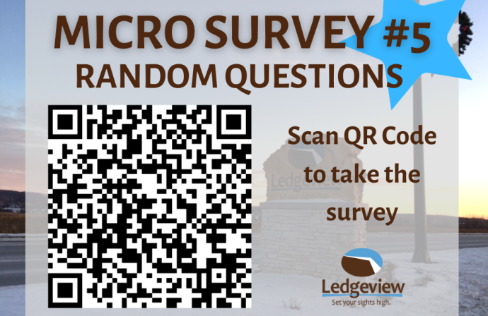Micro-survey 5