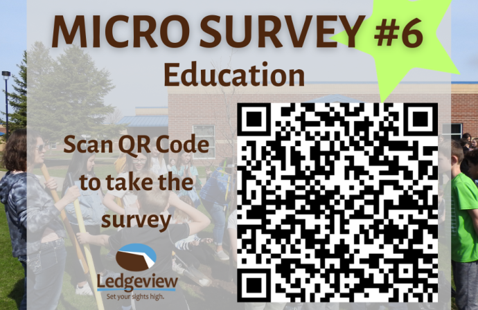 Micro-Survey #6